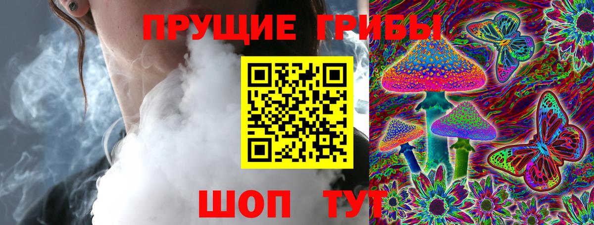 Псилоцибиновые грибы GOLDEN TEACHER Бузулук