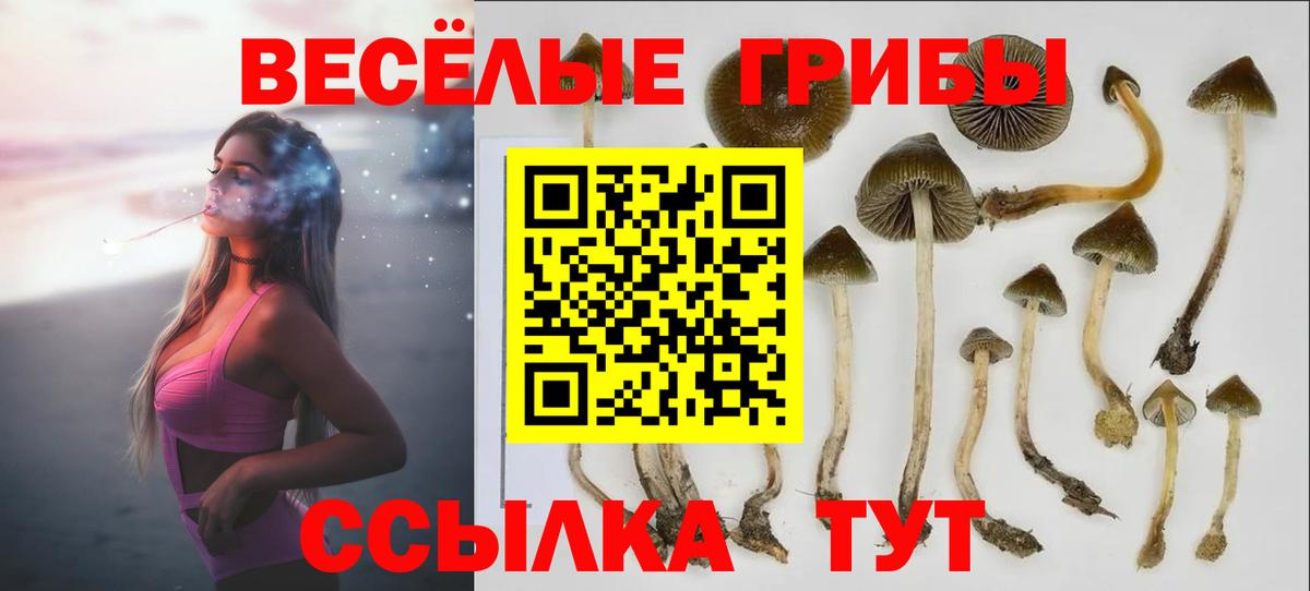 Псилоцибиновые грибы прущие грибы  Псилоцибиновые грибы Cubensis  Вход с VPN  Бузулук 