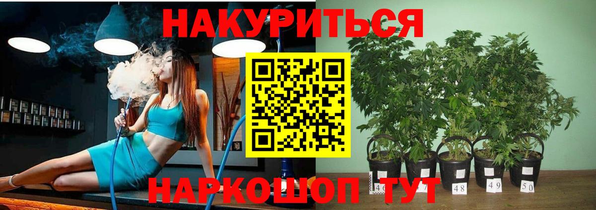 Бошки марихуана OG Kush  Марихуана OG Kush  Бузулук  Конопля THC 21%  Вход с VPN 